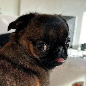 Meet your Posher, Kenny